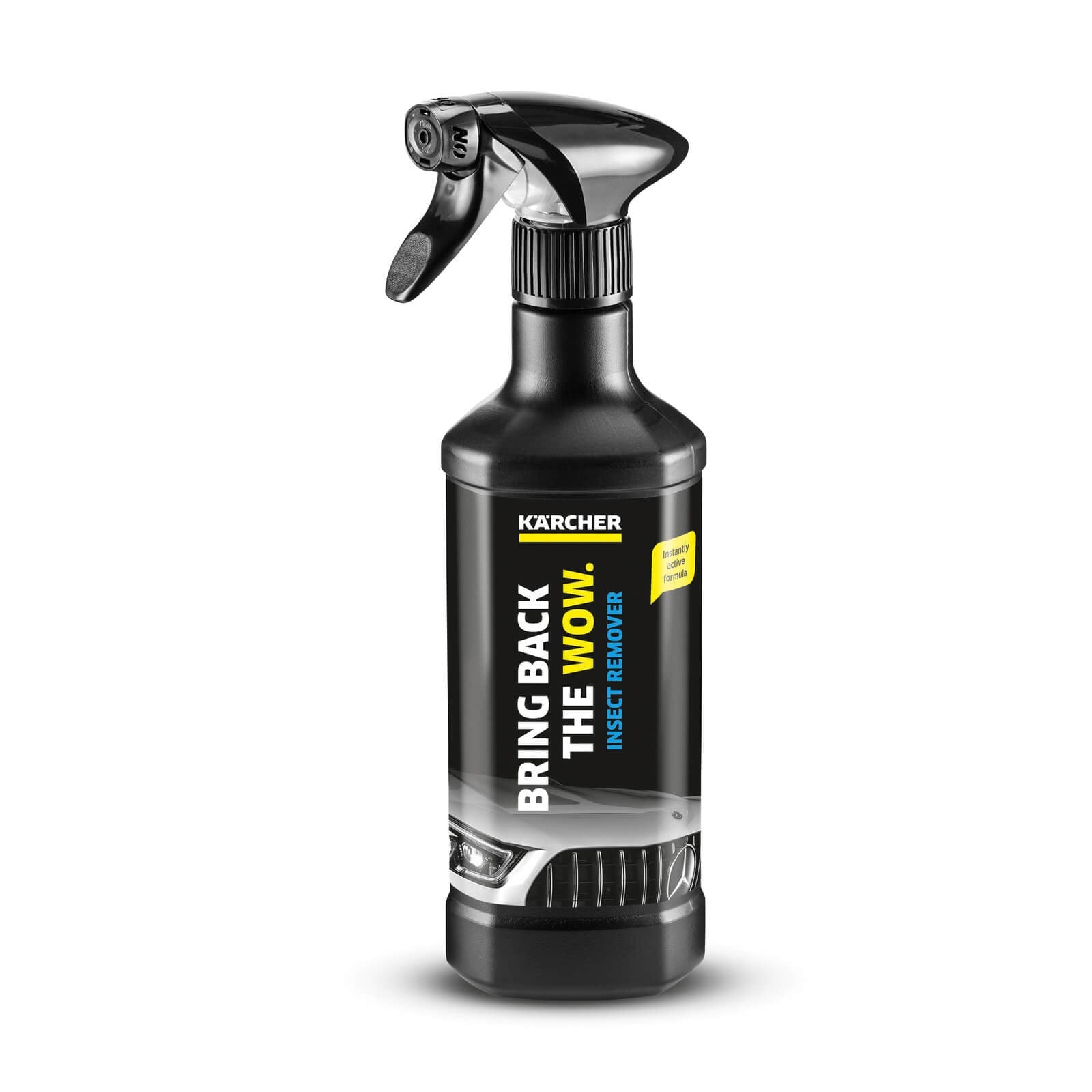 Agente Quitainsectos 500ml Karcher RM 618